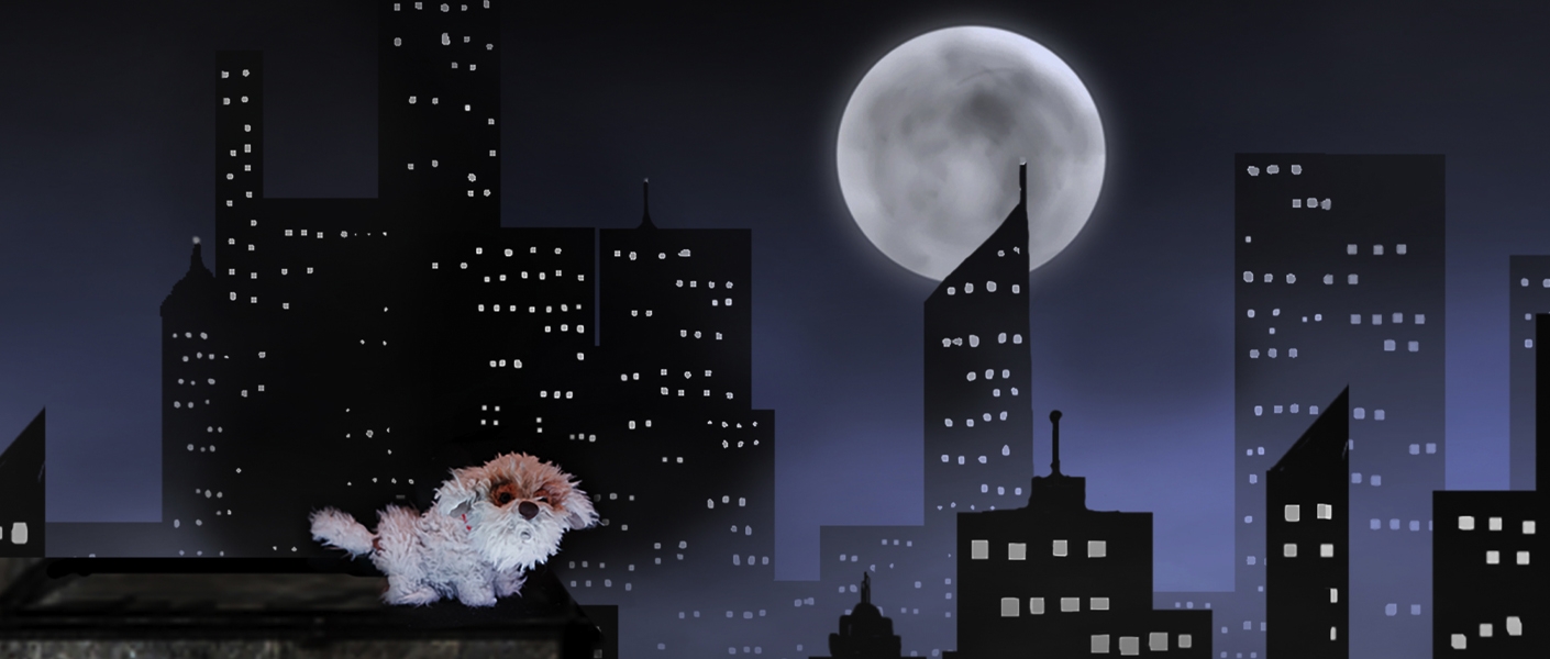 new_owner_show_page_1410x600.jpg