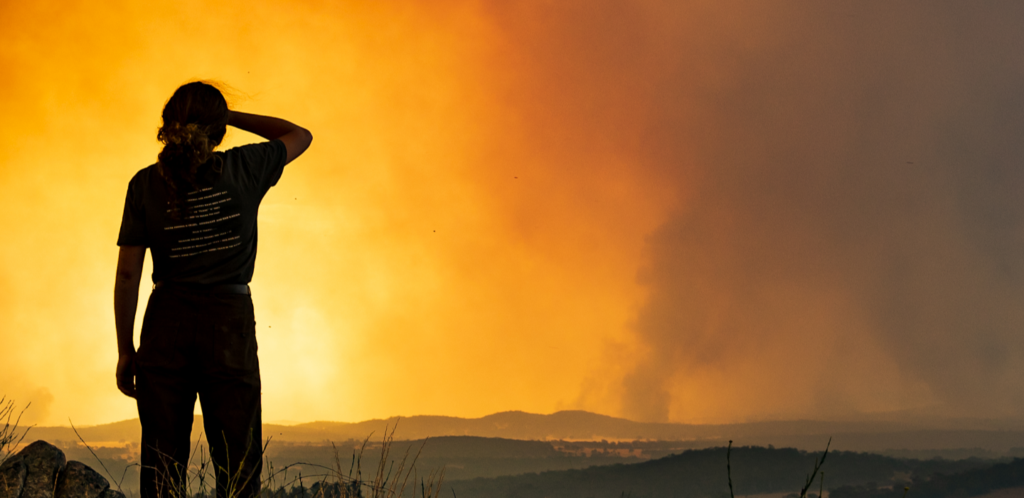 bushfire_spinner_2400x788.png