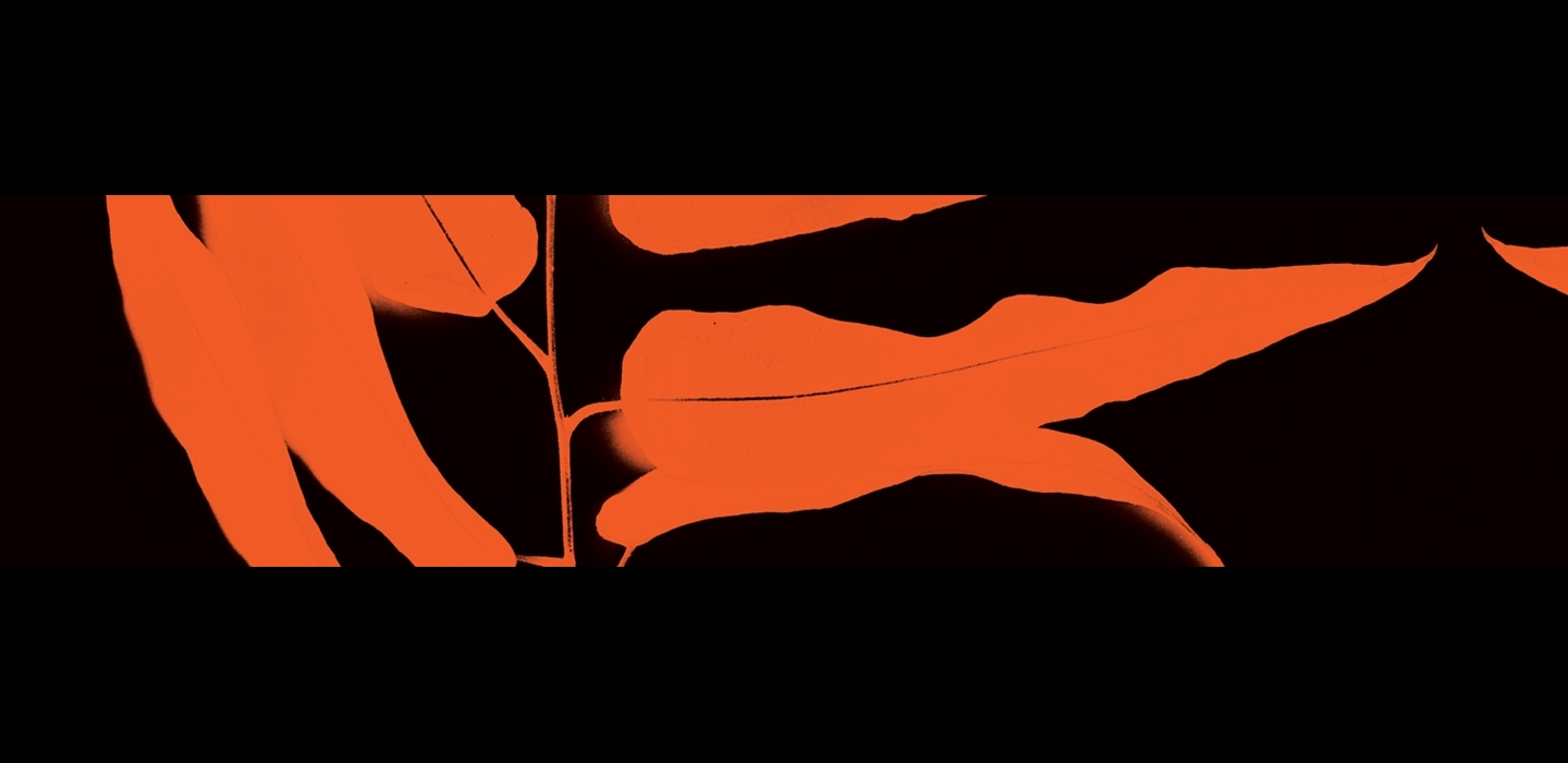 four_colour_season_1440x341_spinner.jpg