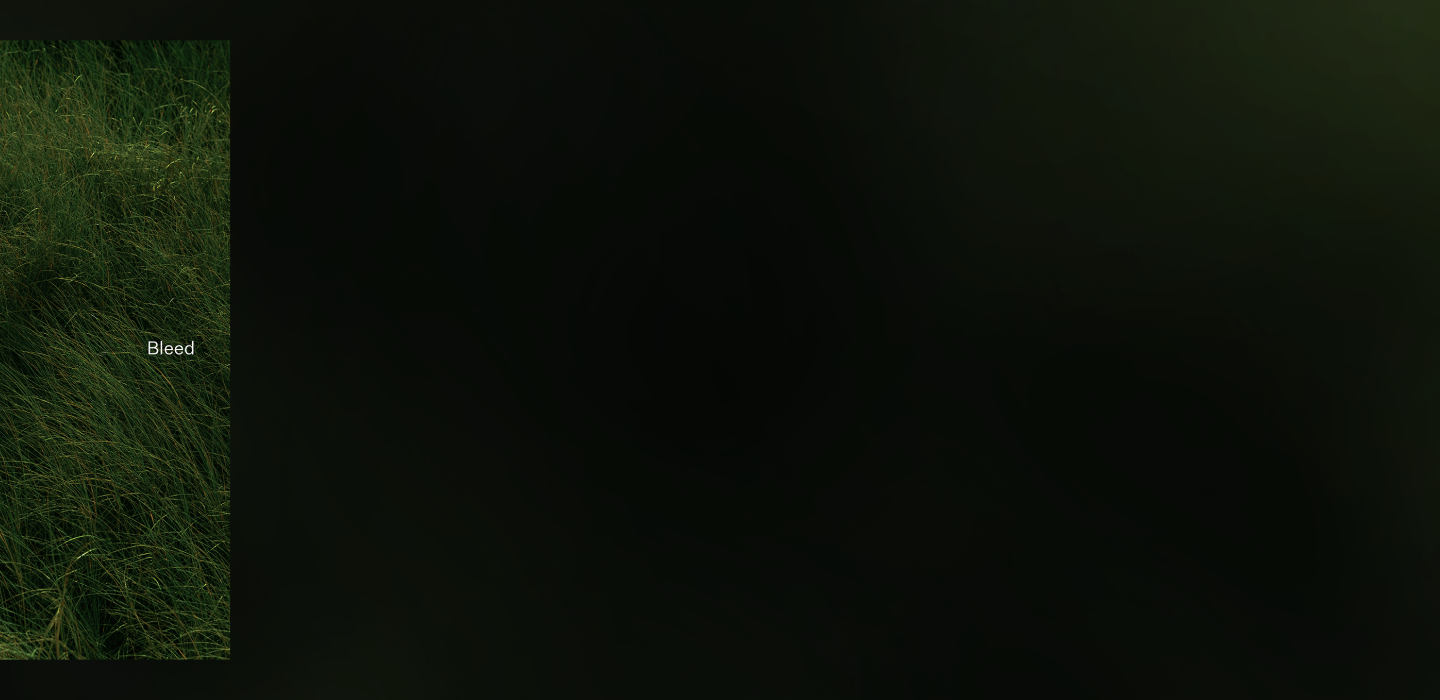 thenecks_2400x788-1.png